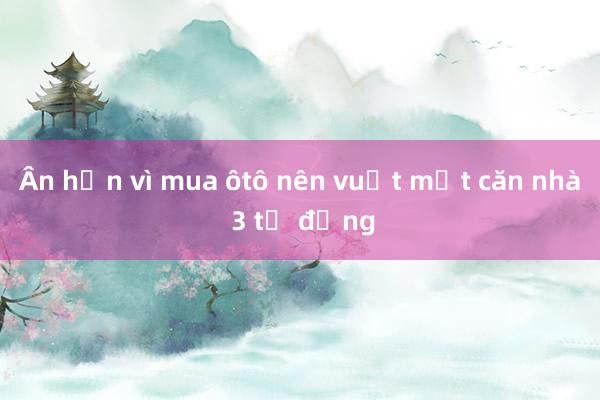 Ân hận vì mua ôtô nên vuột mất căn nhà 3 tỷ đồng