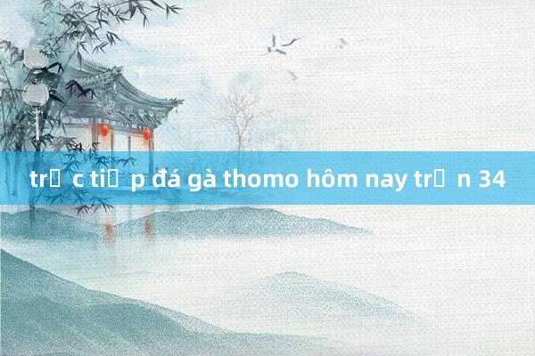 trực tiếp đá gà thomo hôm nay trận 34