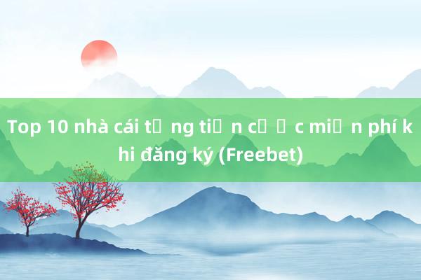 Top 10 nhà cái tặng tiền cược miễn phí khi đăng ký (Freebet)