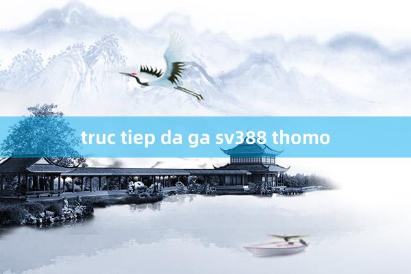 truc tiep da ga sv388 thomo