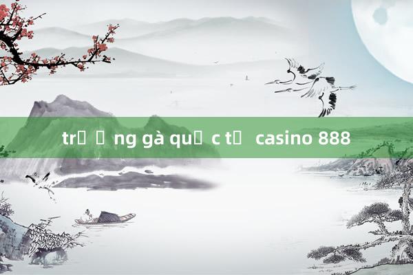 trường gà quốc tế casino 888