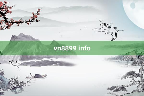 vn8899 info