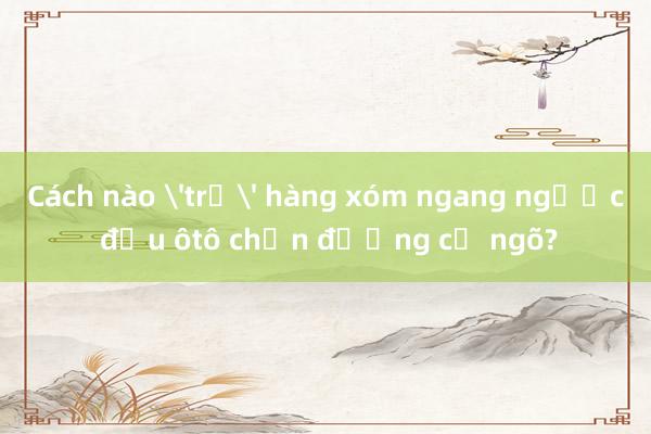 Cách nào 'trị' hàng xóm ngang ngược đậu ôtô chắn đường cả ngõ?