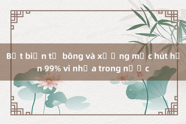 Bọt biển từ bông và xương mực hút hơn 99% vi nhựa trong nước