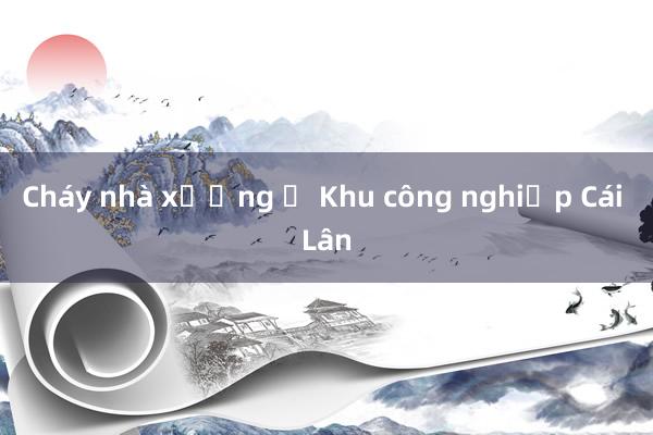 Cháy nhà xưởng ở Khu công nghiệp Cái Lân