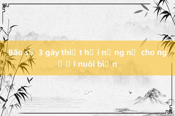 Bão số 3 gây thiệt hại nặng nề cho người nuôi biển