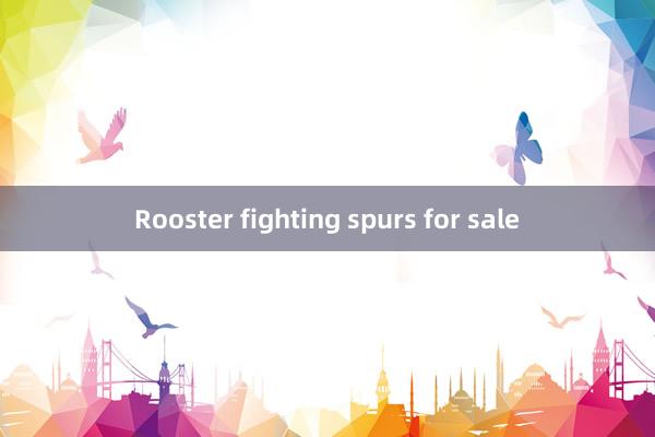 Rooster fighting spurs for sale