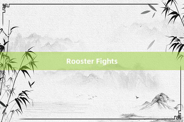 Rooster Fights